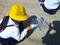 DSCF0004