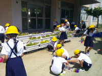 DSCF0006